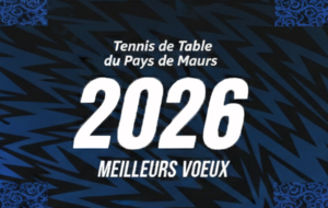 Meilleurs Vœux 2026