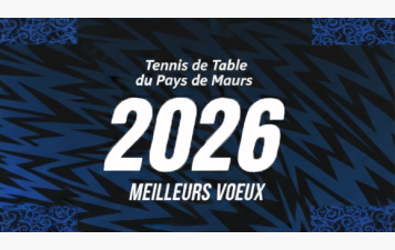 Meilleurs Vœux 2026